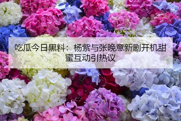 吃瓜今日黑料：杨紫与张晚意新剧开机甜蜜互动引热议